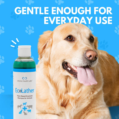 EcoLather Shampoo
