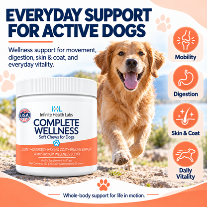An energetic golden retriever frolics outside next to a container of Infinite Health Labs Complete Wellness Soft Chews for Dogs, with icons showcasing key benefits: joint and mobility support, digestion, immune health with a 4-mushroom blend, and daily vitality.