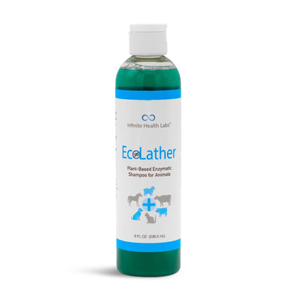 EcoLather Shampoo